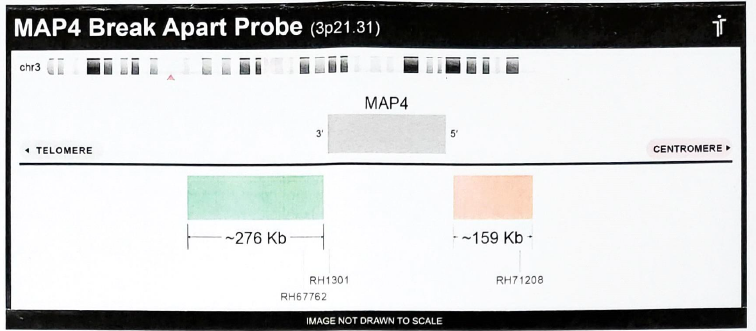 MAP4 break apart probe